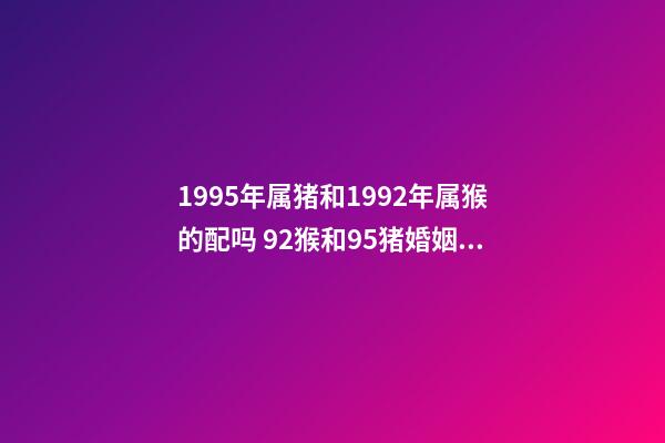 1995年属猪和1992年属猴的配吗 92猴和95猪婚姻好不好 95猪92猴婚配的婚姻如何，95的猪与92的猴婚配如何？-第1张-观点-玄机派